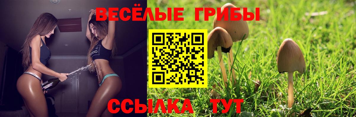 Сегежа  Галлюциногенные грибы Magic Shrooms  Вход с VPN 